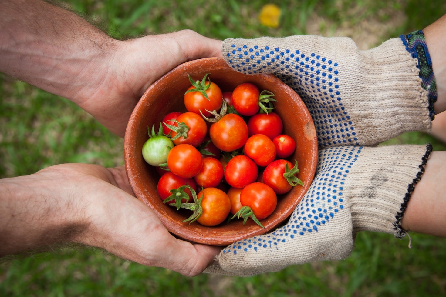 Supporting Sustainable Growth in City Farms
